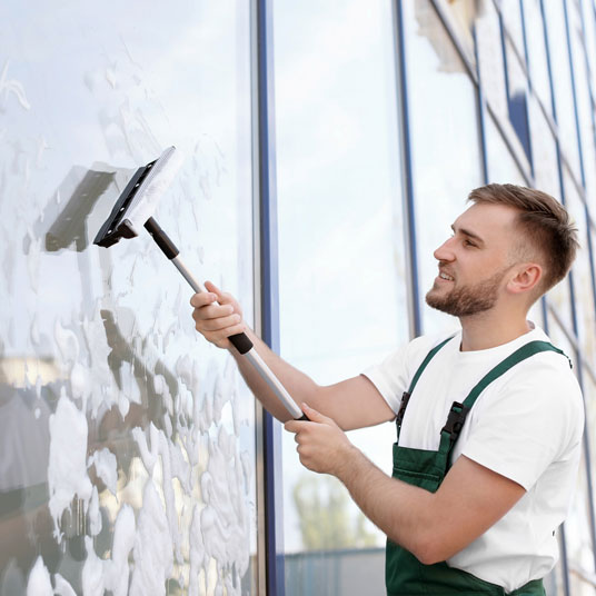 Window Cleaning Home 3