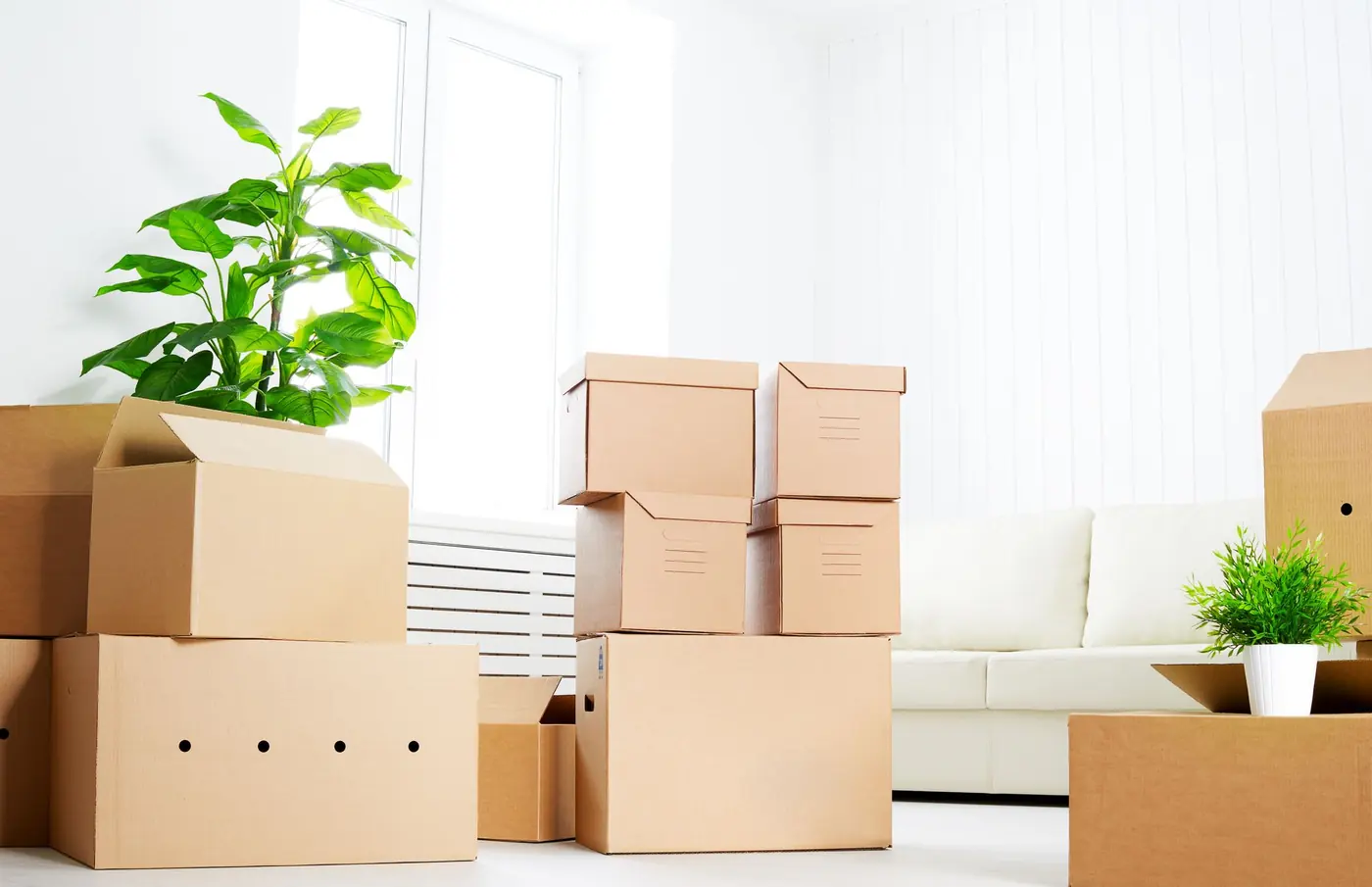 Cardboard moving boxes stacked beside a houseplant